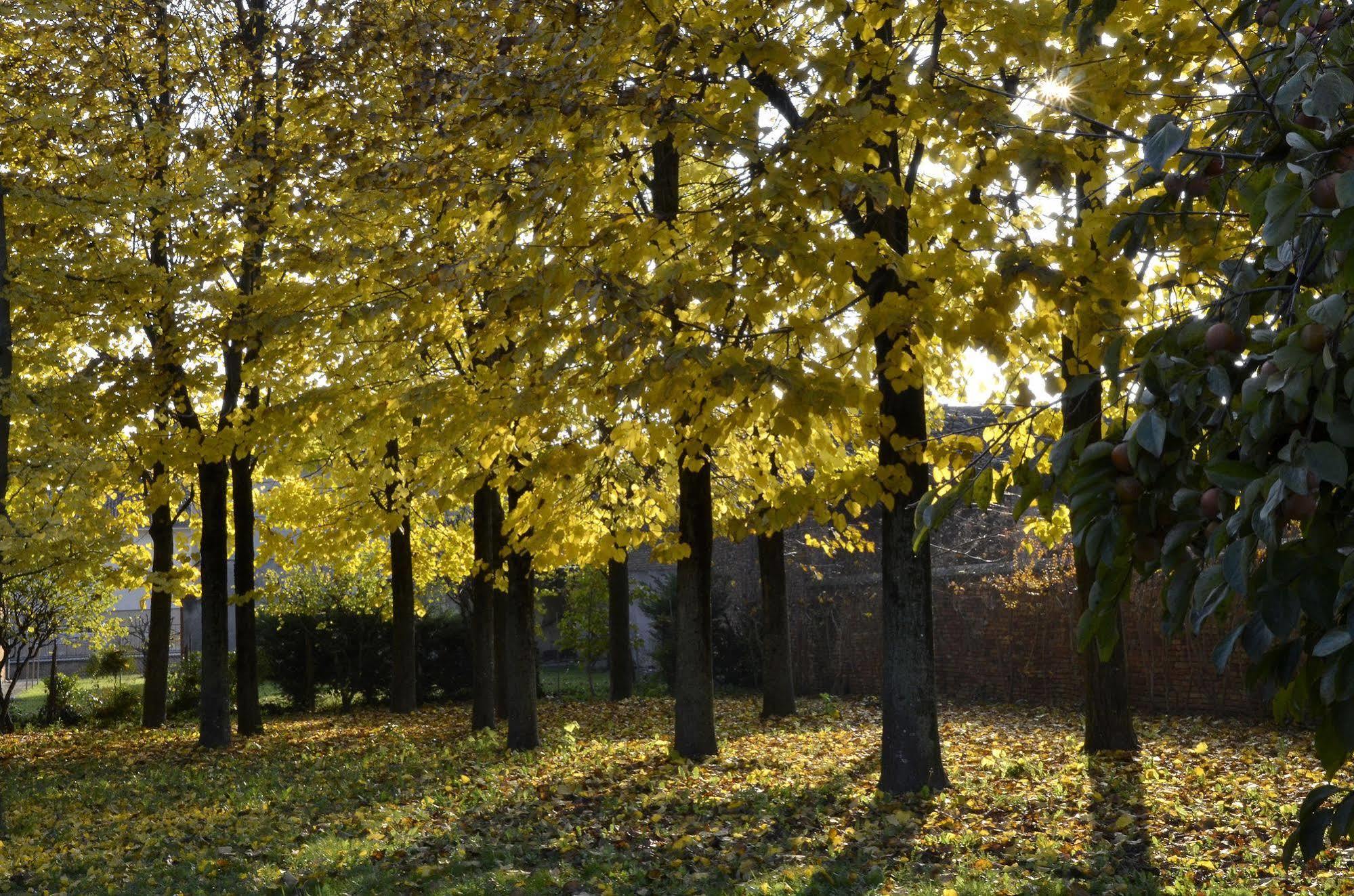9 Muse Bed&Breakfast Canneto sull'Oglio Exterior foto